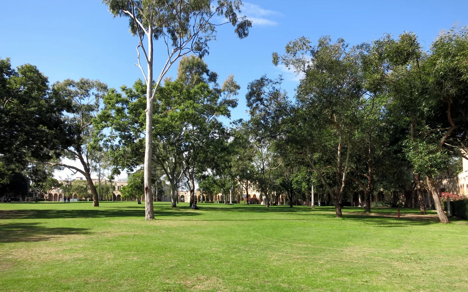 University campus supporting this IAIC article